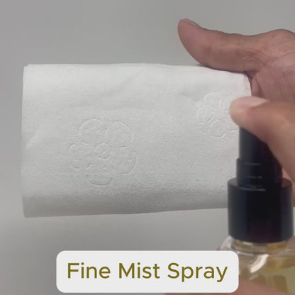 Bee Clean TP Spray